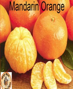 Mandarin Orange Flavored Coffee