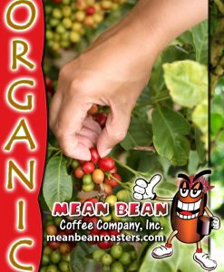 Organic Coffee Blend