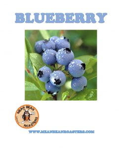 Blueberry