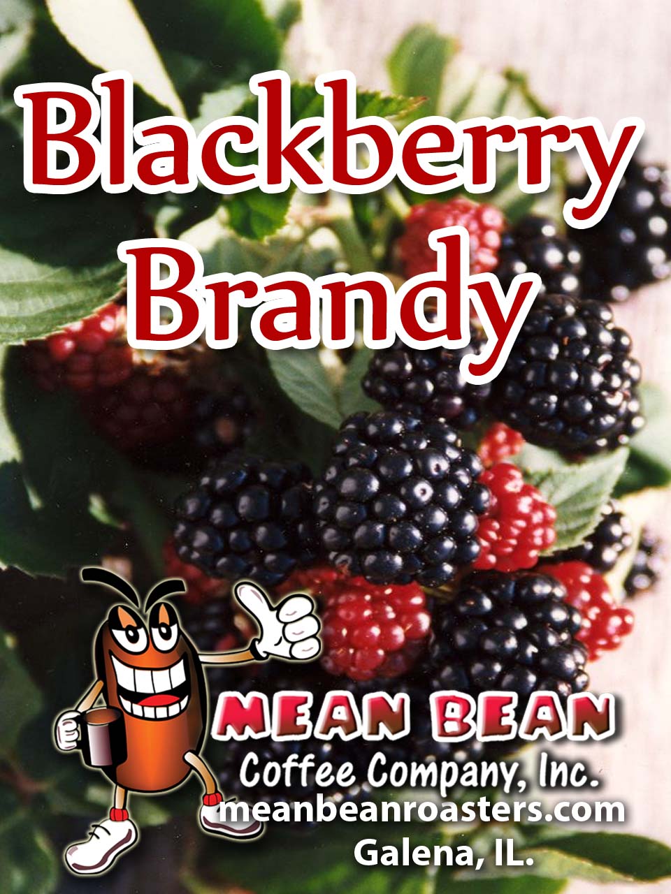 Blackberry Brandy